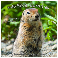 Sik-Sik's Summer