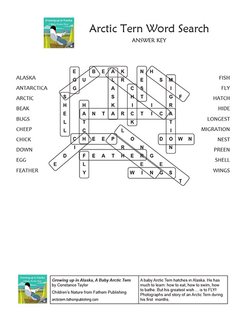 Arctic Tern Word Search