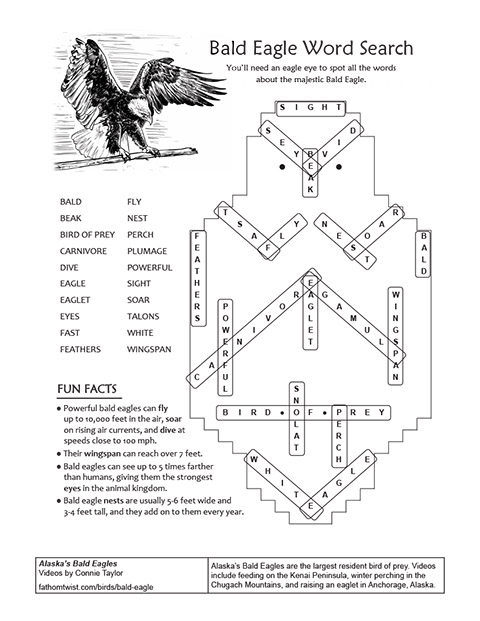 Bald Eagle Word Search